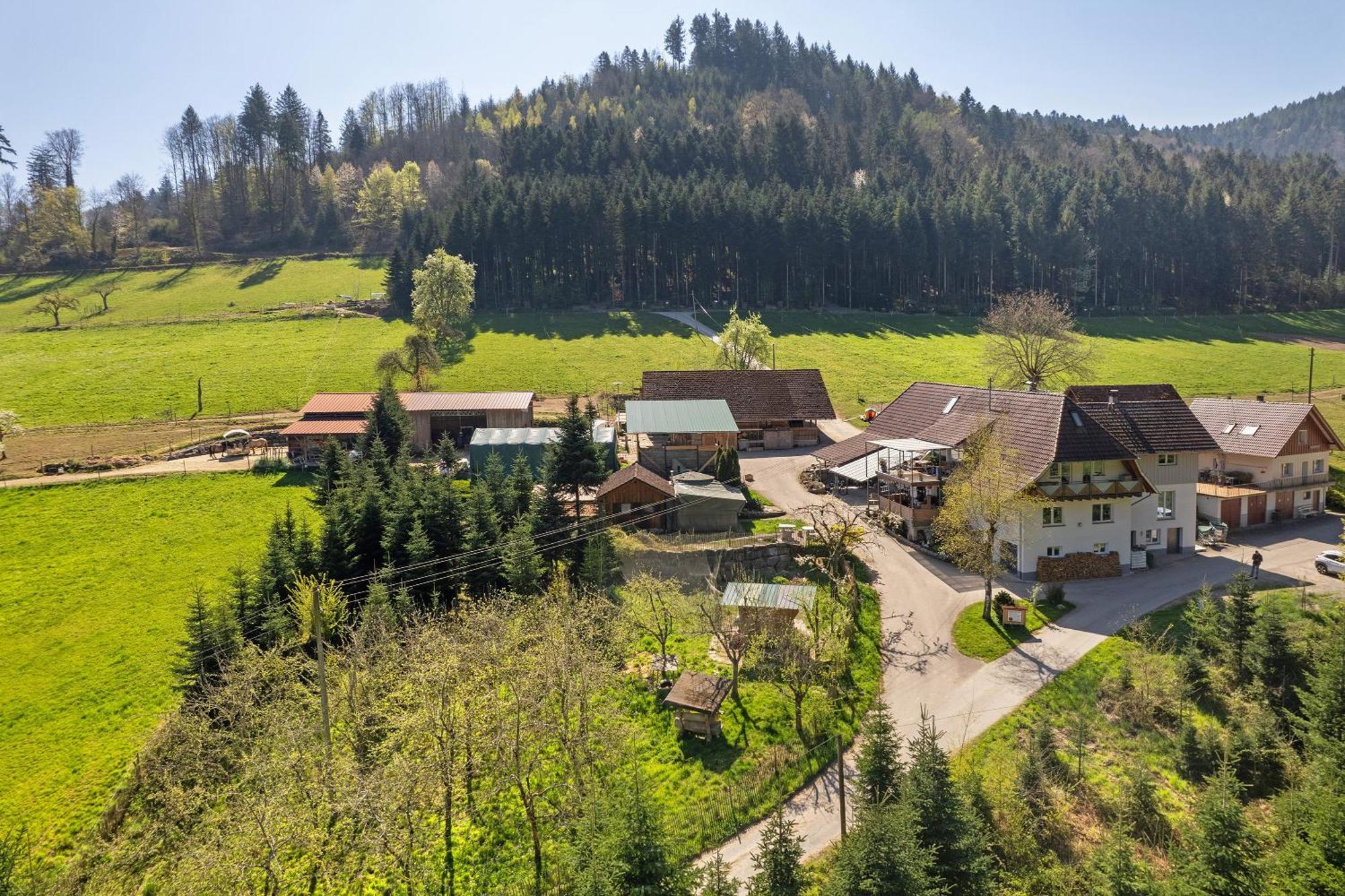Muellerleile Hof Villa Haslach im Kinzigtal Exterior photo